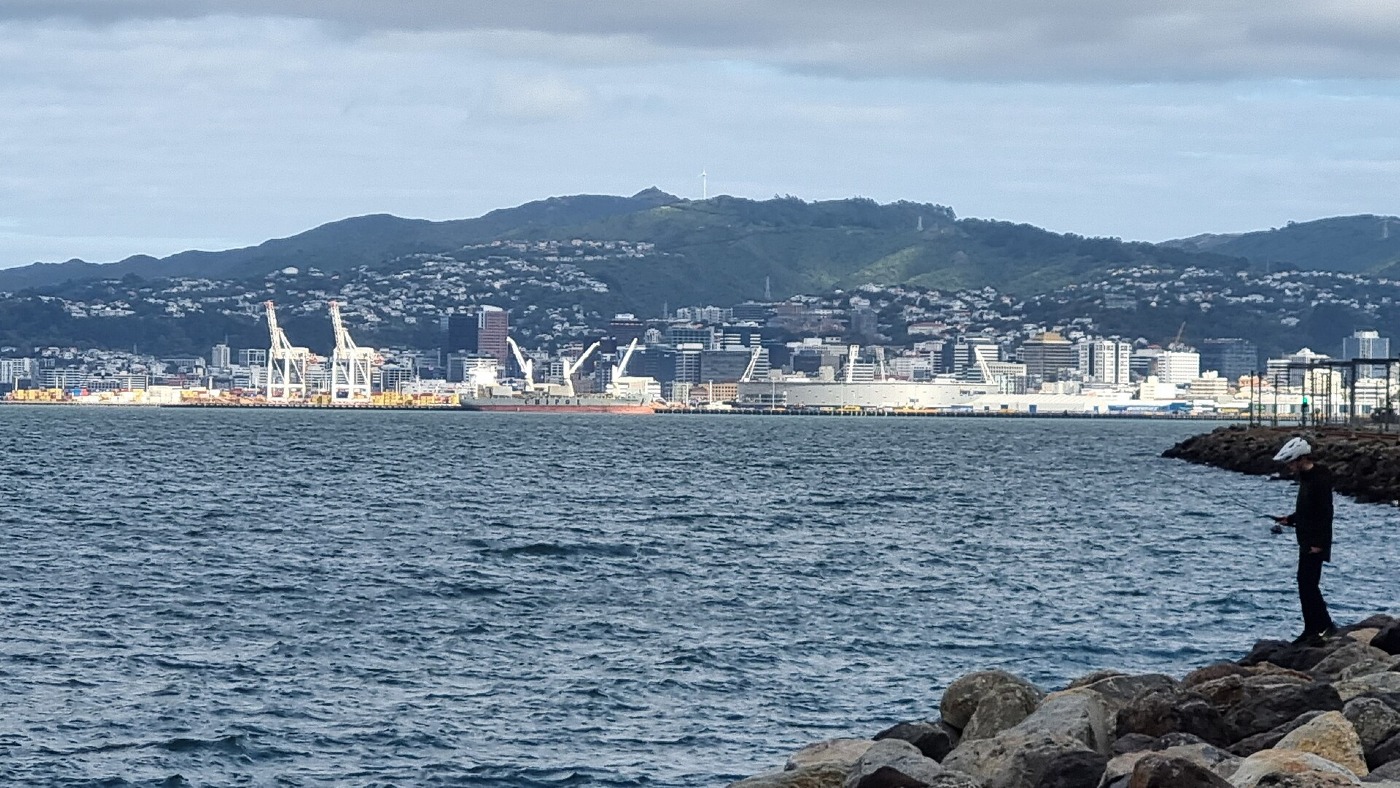 Wellington city and harbour seen across the water, with hills behind